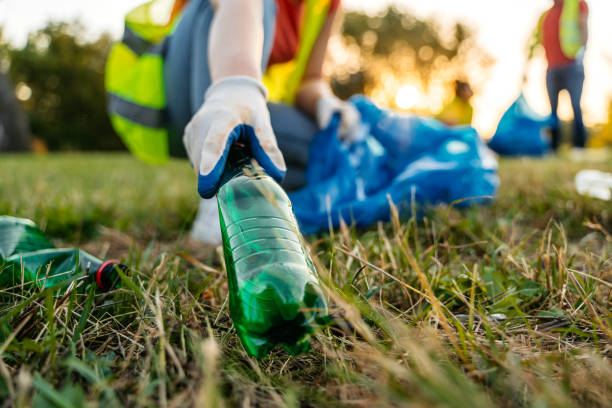 Best Yard Waste Removal  in Dauphin Island, AL